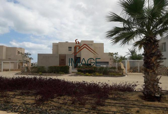 8241174 - صورة العقار 2