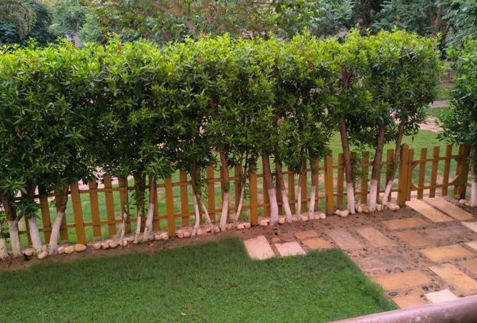 8164346 - Property Image 3