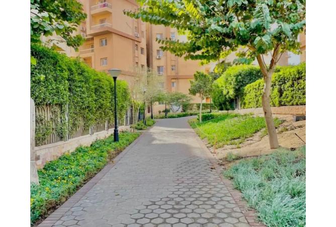 8426343 - صورة العقار 2