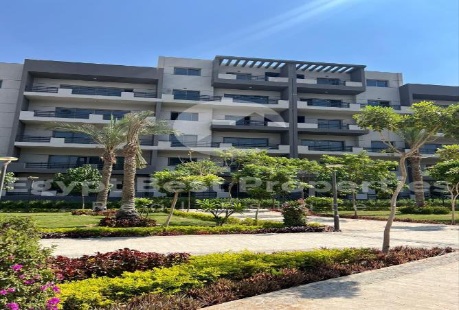7970439 - صورة العقار 2