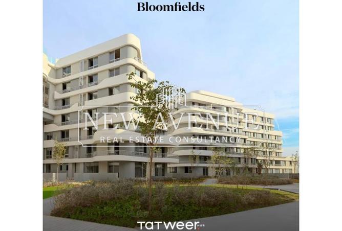 7973539 - Property Image 2
