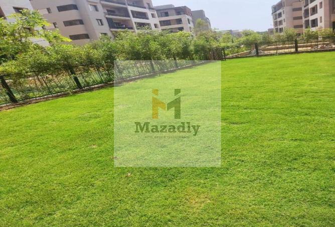 8181627 - Property Image 2