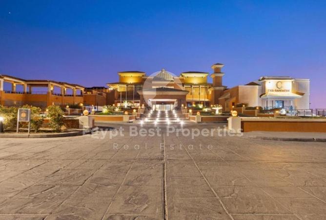 8403369 - Property Image 2