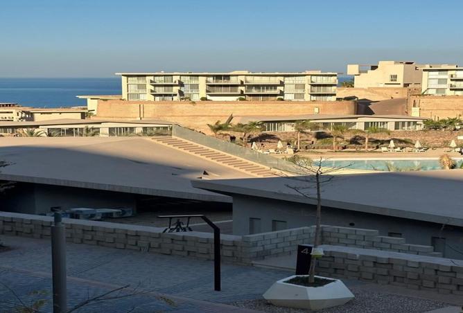 8219494 - Property Image 3