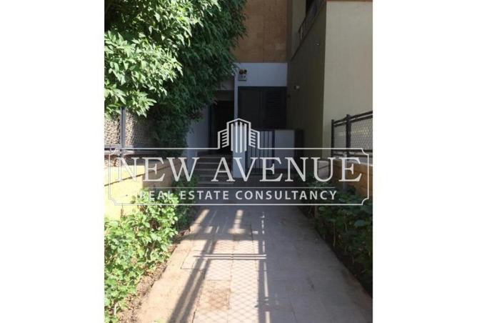 8395376 - Property Image 3