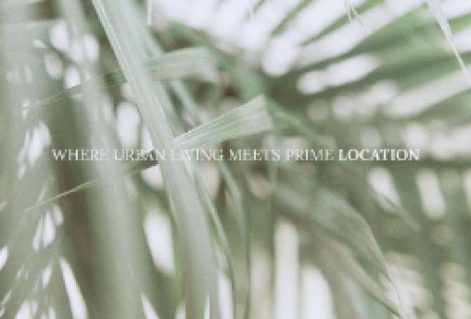 8292973 - صورة العقار 3