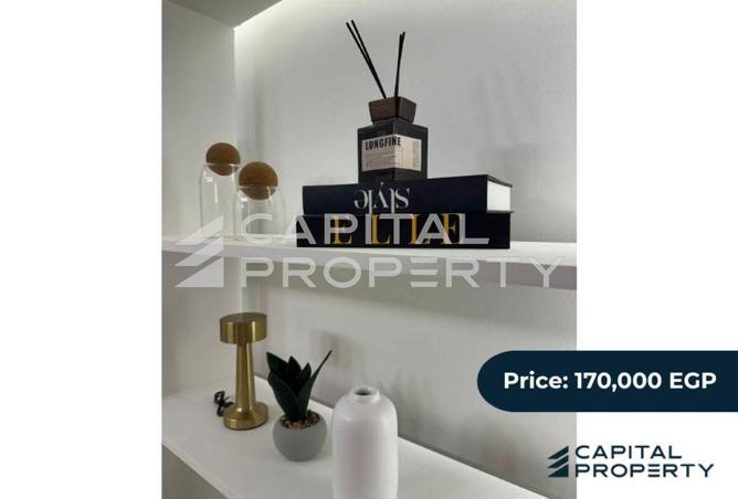 8156703 - Property Image 3