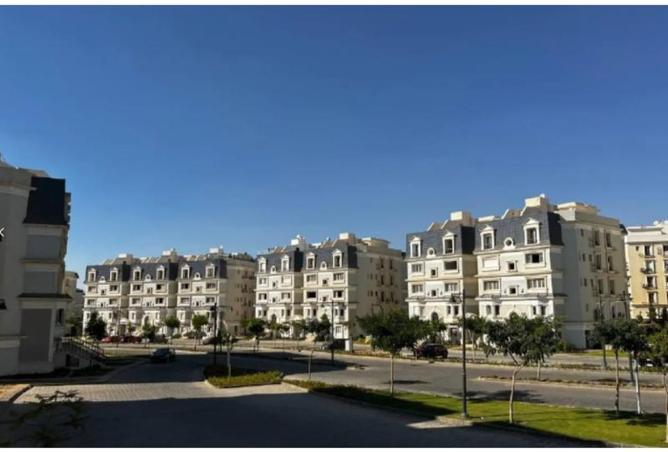 8074675 - Property Image 3