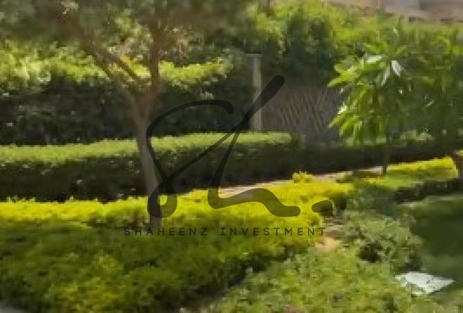 8249145 - صورة العقار 3