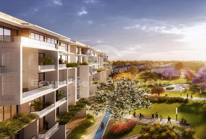 8431167 - Property Image 3