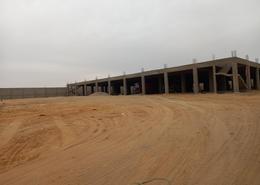 مصنع - 8 حمامات for للبيع in طريق الاسمايلية الصحراوي - طريق فايد - المنطقة الصناعية - مدينة العاشر من رمضان - الشرقية