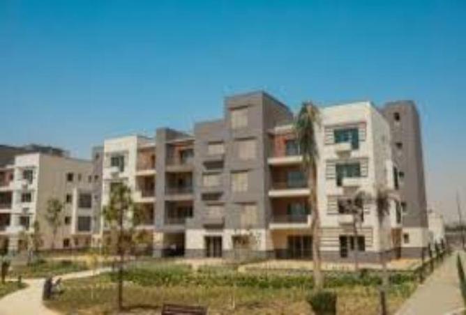 7995672 - Property Image 3