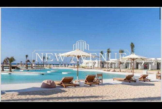 8338297 - Property Image 2