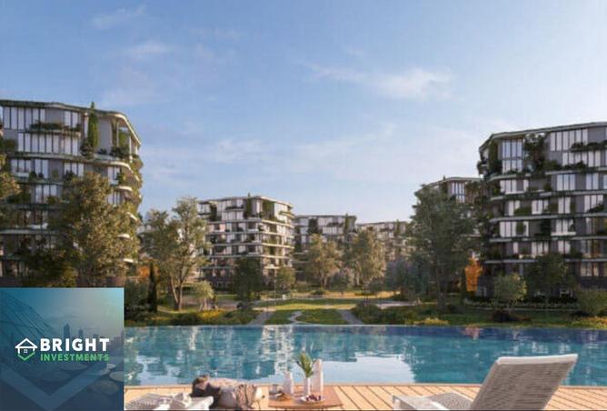 8065738 - Property Image 3