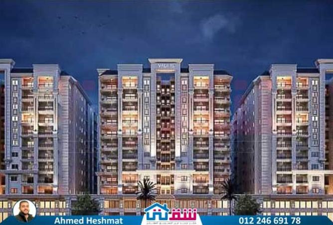 8171447 - Property Image 3