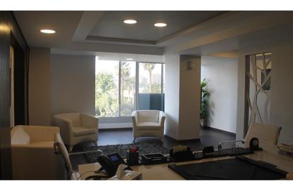 Office Space - Studio - 1 Bathroom for rent in Shooting Club Street - Dokki - Giza