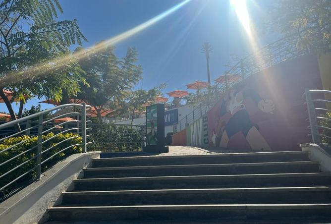 8330605 - Property Image 2