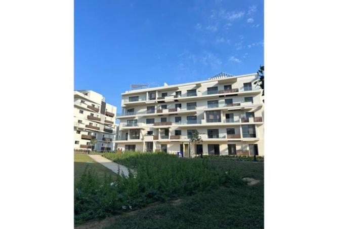 8374021 - Property Image 3