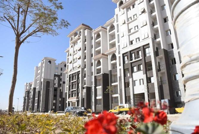 8177991 - صورة العقار 3