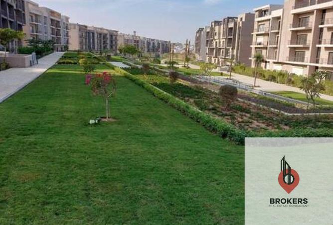 8294604 - Property Image 2