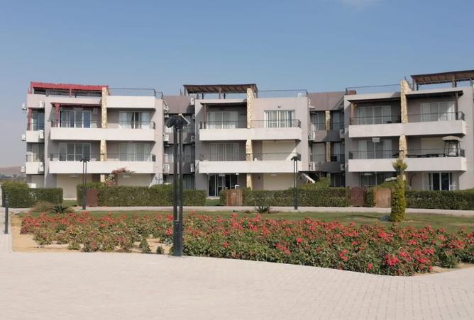 8337831 - Property Image 2