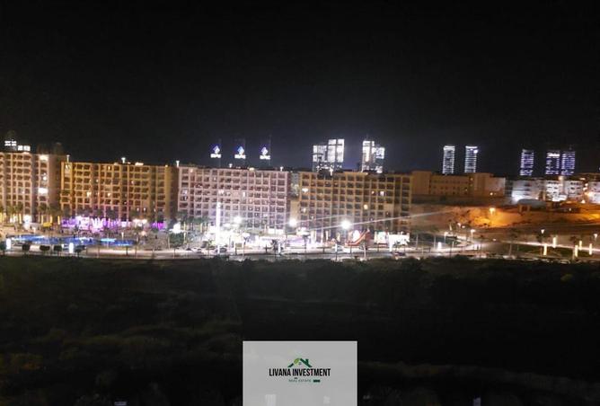 8196378 - Property Image 3