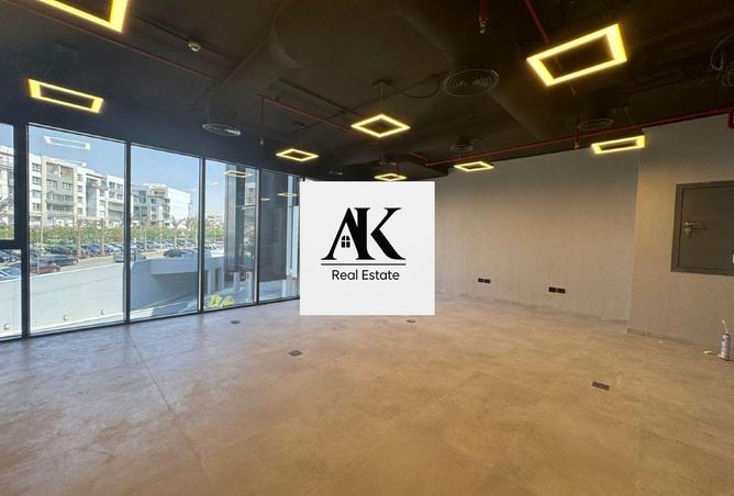 8113201 - Property Image 3