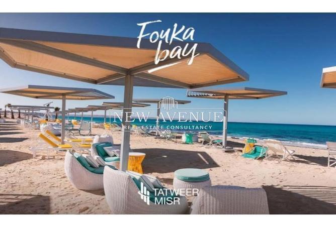 8204775 - صورة العقار 2