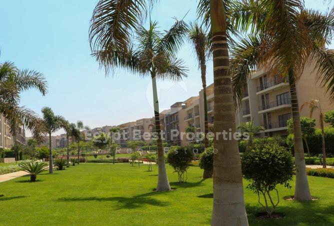 7906684 - Property Image 3