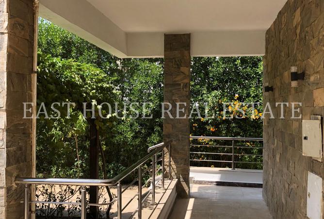 8172542 - صورة العقار 3