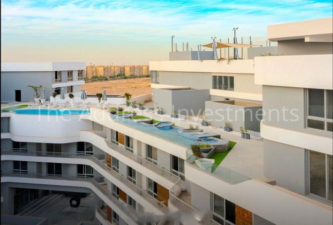 7936202 - Property Image 2
