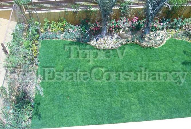 8133270 - صورة العقار 2