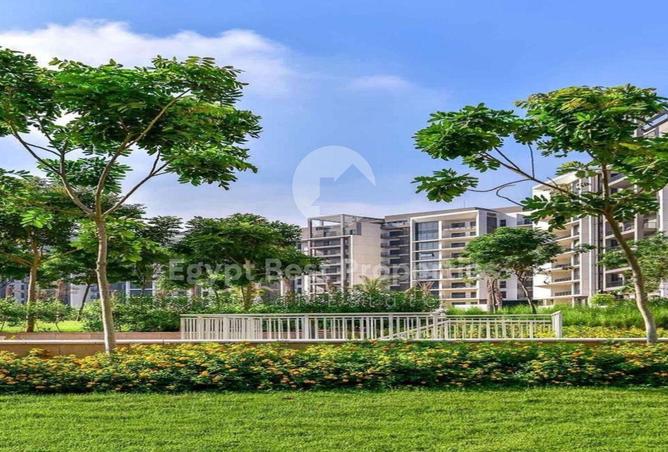 8125973 - صورة العقار 2