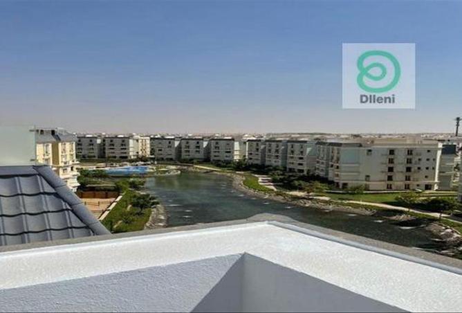 7900259 - صورة العقار 3