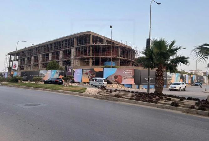 8253475 - Property Image 2