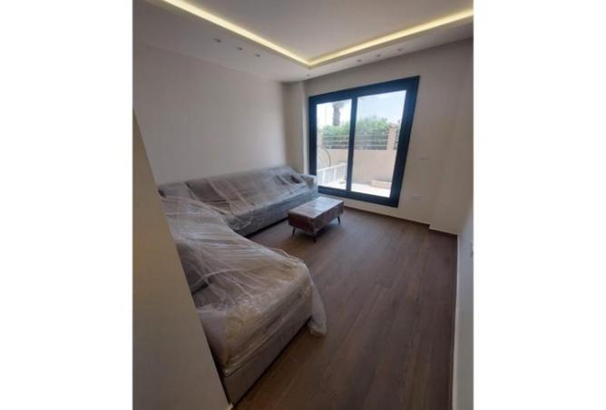 8144473 - Property Image 3