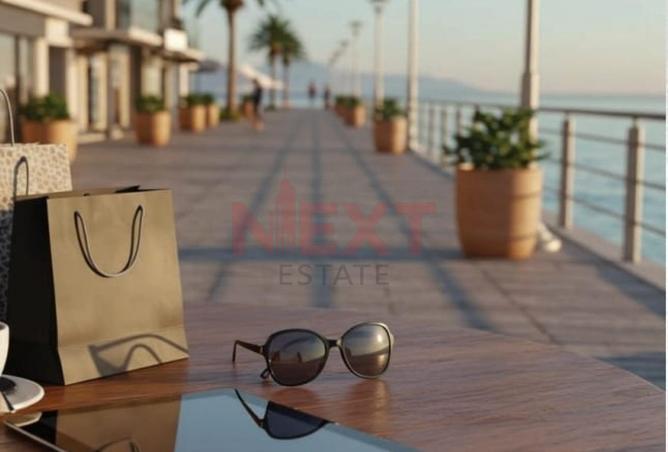 8113698 - Property Image 3