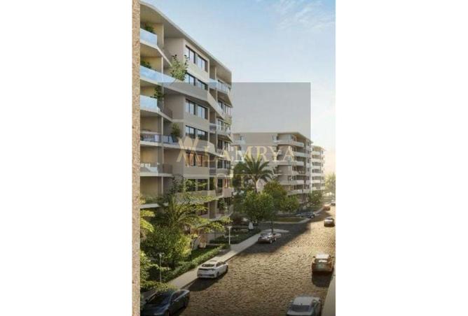 7936162 - Property Image 2