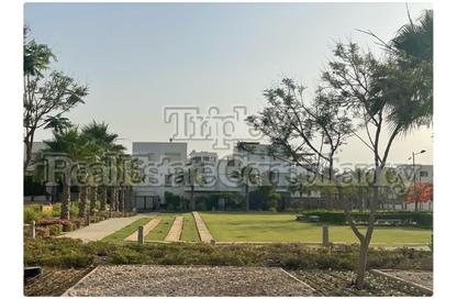 Apartment - 2 Bedrooms - 3 Bathrooms for rent in Westown - Sheikh Zayed Compounds - Sheikh Zayed City - Giza