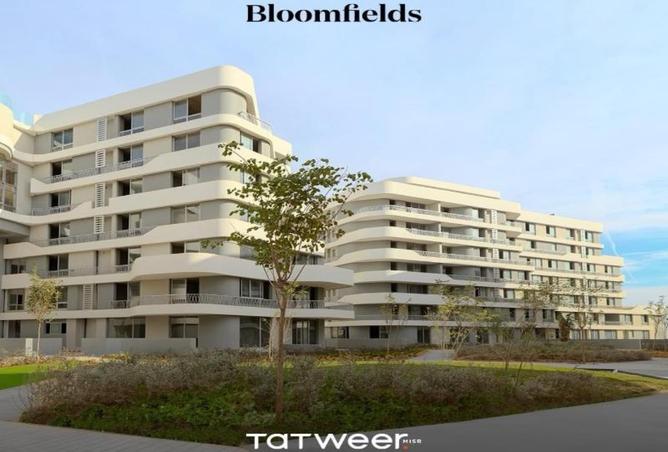 8117037 - Property Image 3