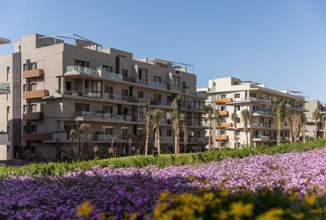 8415129 - Property Image 3