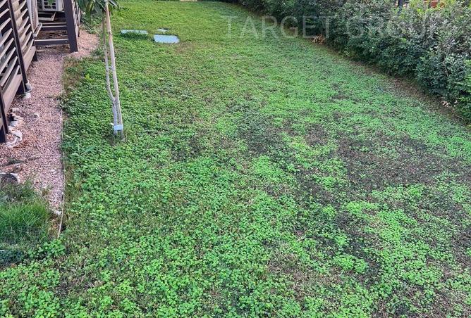 8559749 - Property Image 3