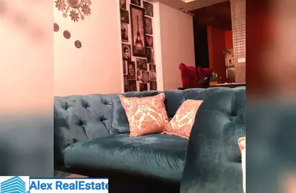 شقة - 2 غرف نوم - 1 حمام للايجار في شارع ابو قير - كليوباترا - حي شرق - الاسكندرية