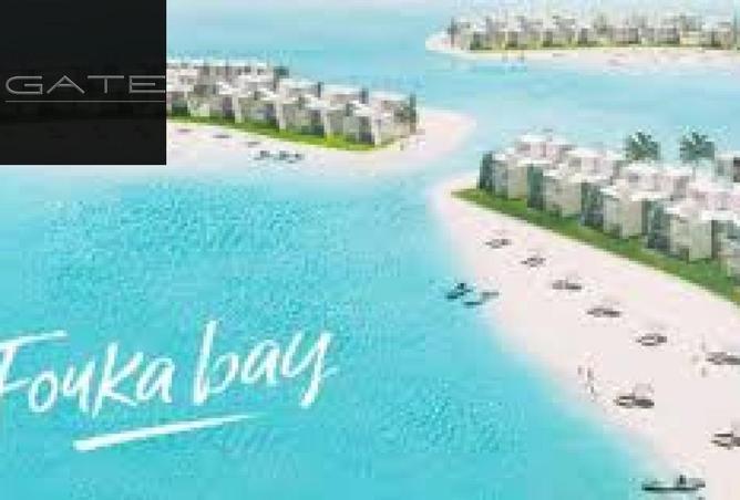 8176848 - صورة العقار 3