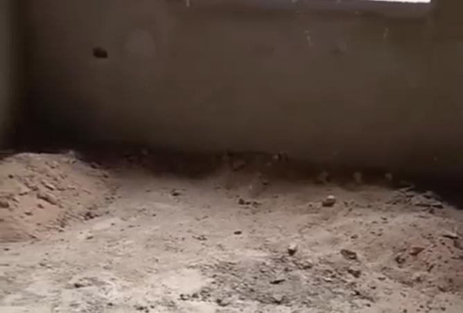 8375216 - صورة العقار 3