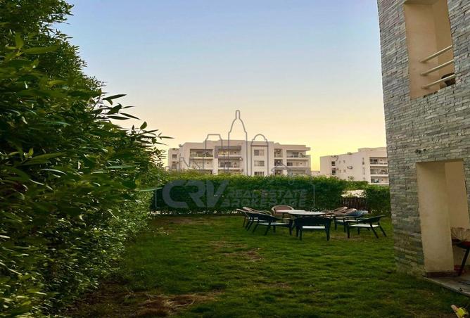 8162098 - Property Image 3