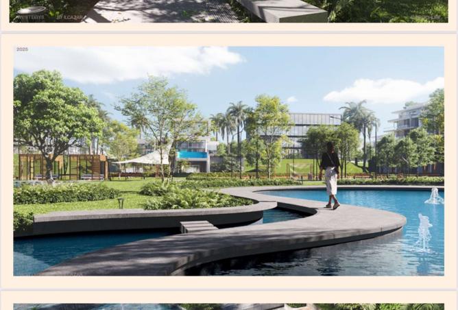 8243242 - صورة العقار 3