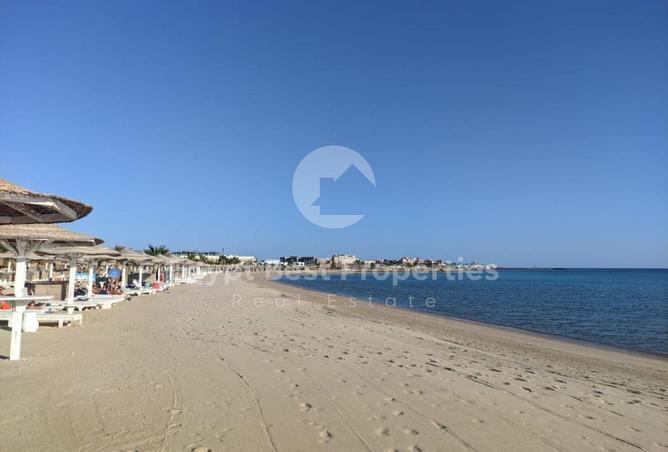 8140495 - Property Image 3