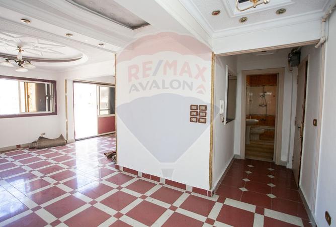 7923254 - Property Image 3