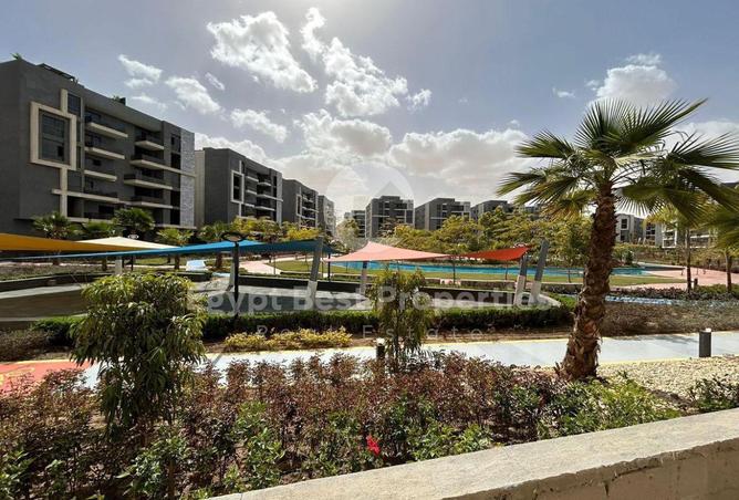 8303815 - صورة العقار 2